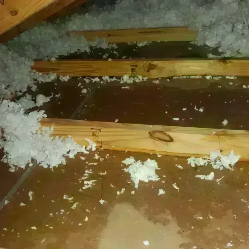 Attic Water Damage in Chandler, TX