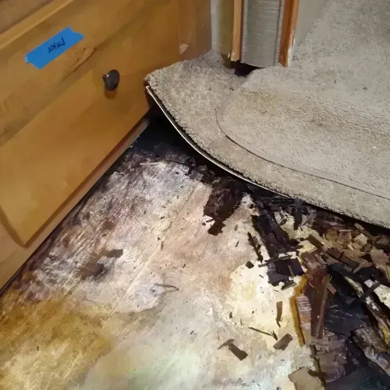 Best Wood Floor Water Damage Service in Chandler, TX